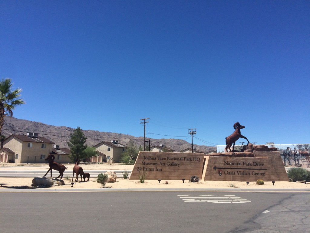 arrivée au Joshua Tree Park