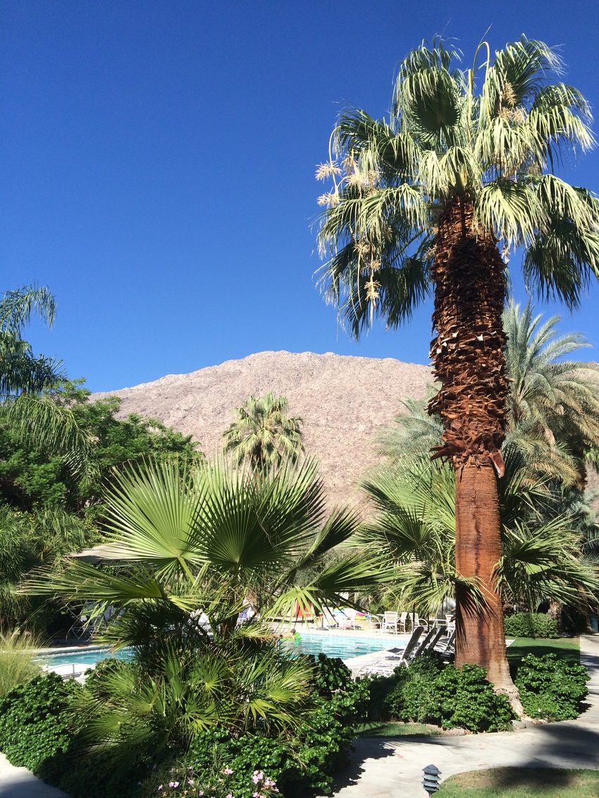 The Chase Hotel à Palm Springs en Californie - piscine