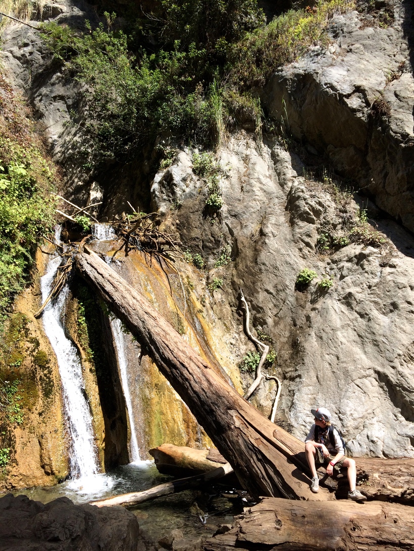Falls Trail - Limekiln State Park à Big Sur en Californie