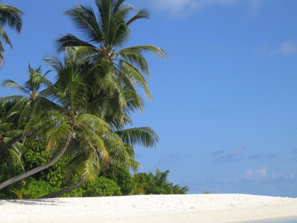 plage de l'île de Velavaru aux Maldives
