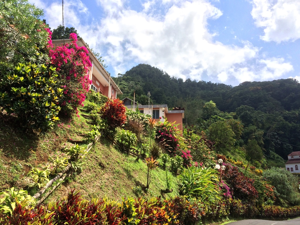 village de Fonds Saint-Denis en Martinique