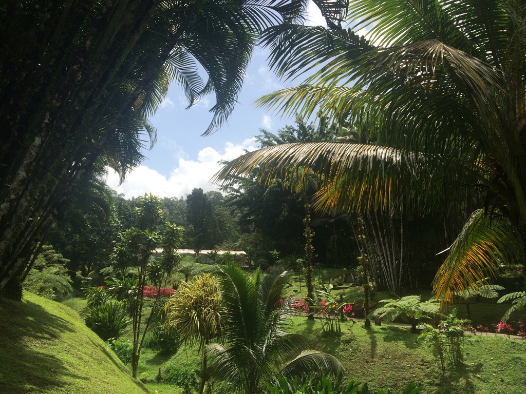 Jardins botaniques du domaine d'Emeraude en Martinique