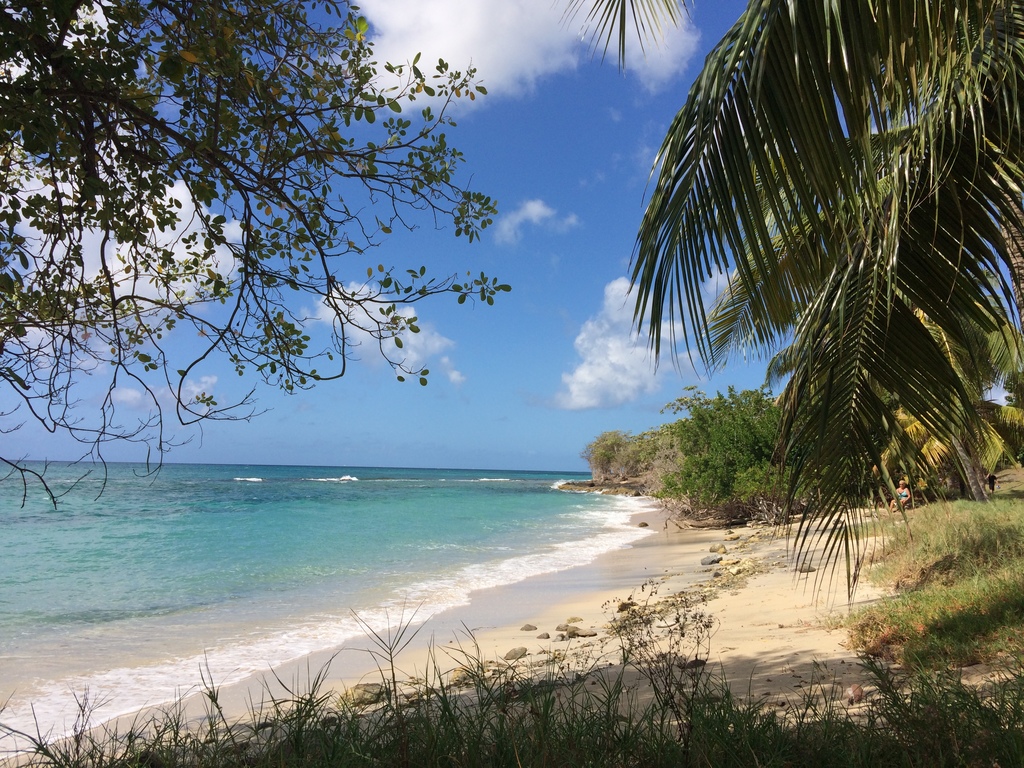 Une des plages de Sainte-Luce en Martinique