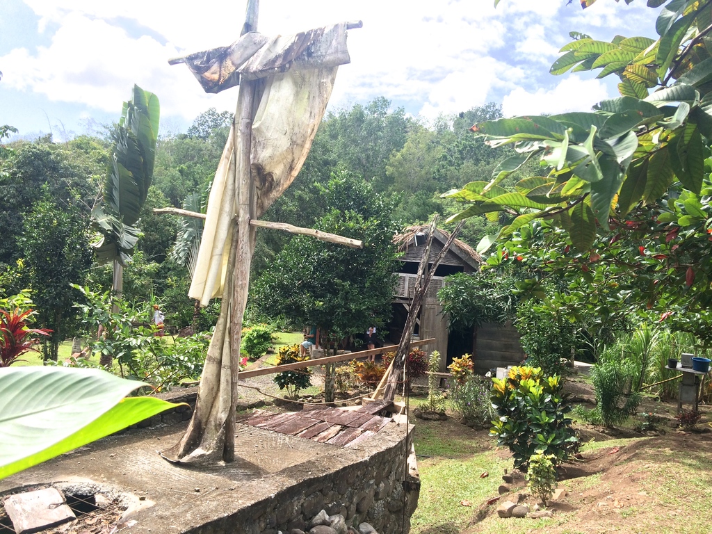 Visite de la savane des Esclaves en Martinique