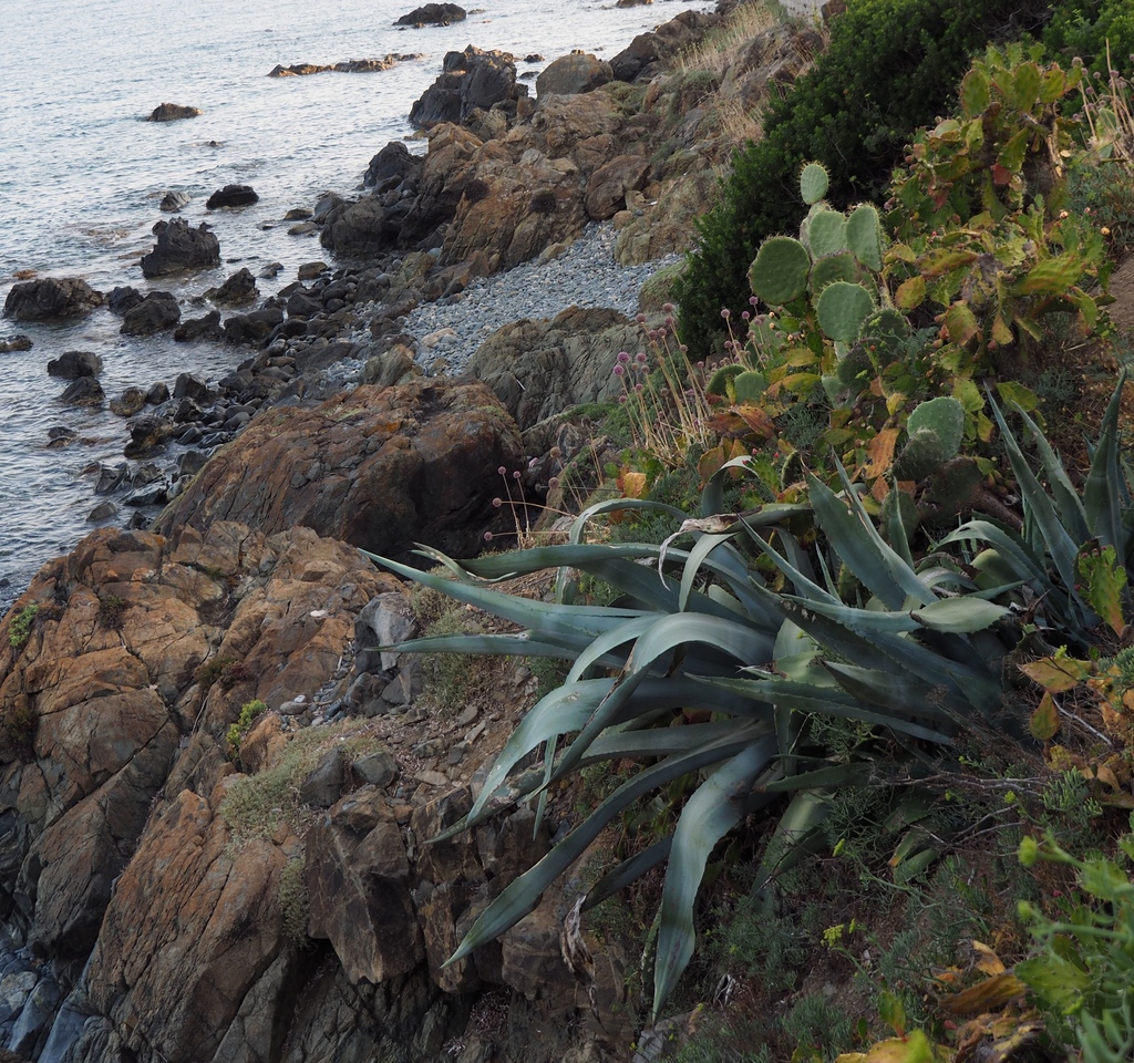 Sur la route des îles sanguinaires en Corse