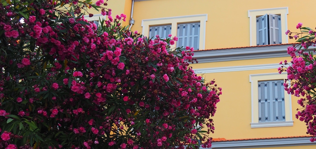 Les immeubles colorés à Ajaccio en Corse