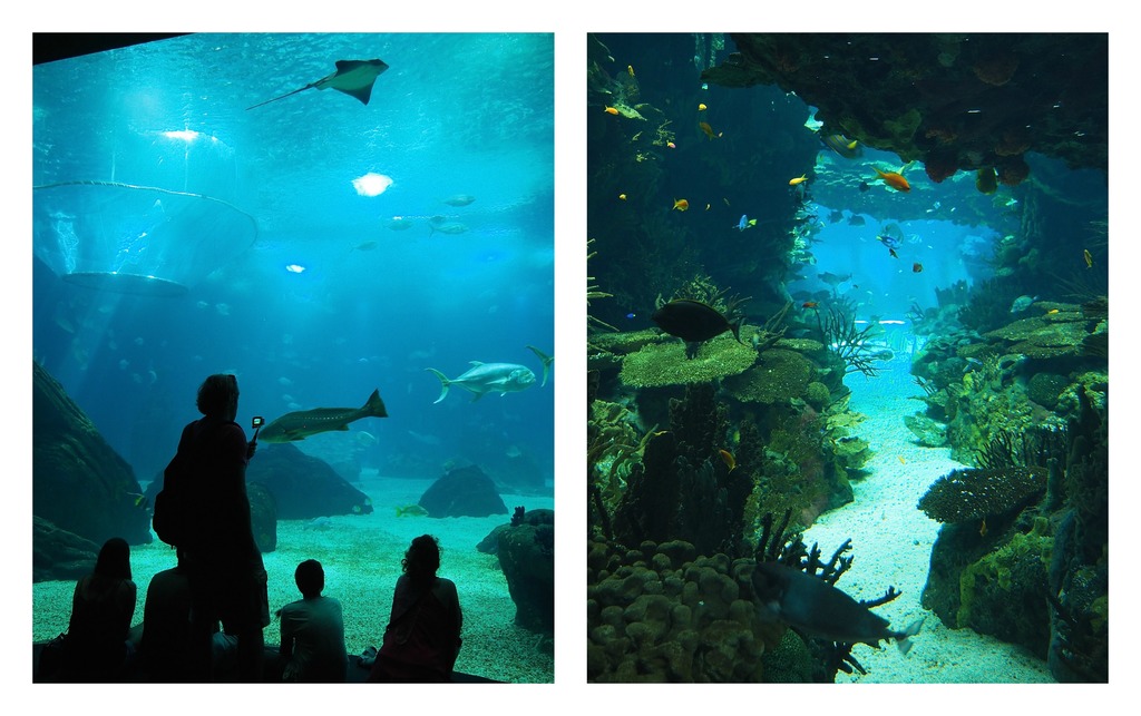 Grand Aquarium - Océanario - Parc des Nations à Lisbonne