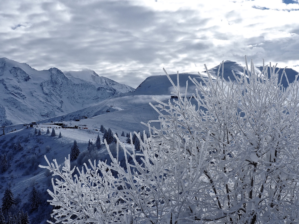 Megève en hiver, en haut du Mont d'Arbois
