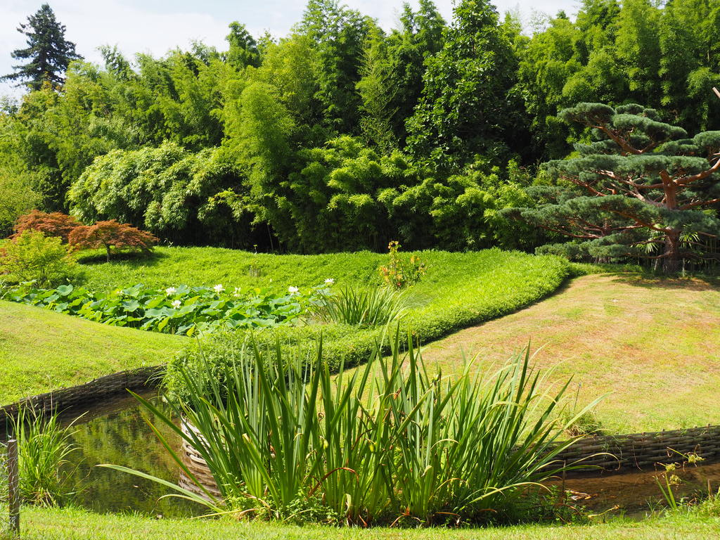 La Bambouseraie à Anduze, jardin japonais