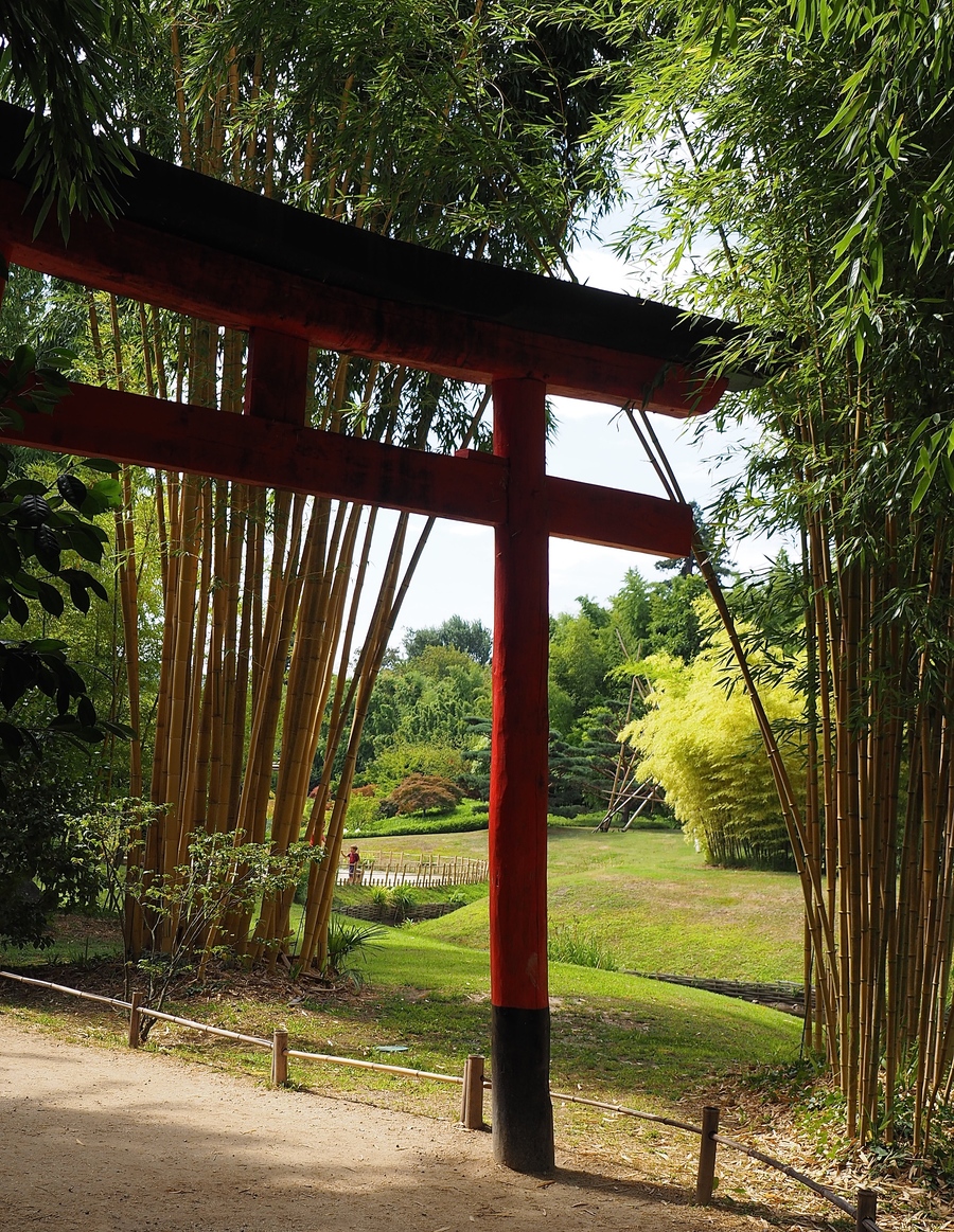 La Bambouseraie à Anduze, jardin japonais