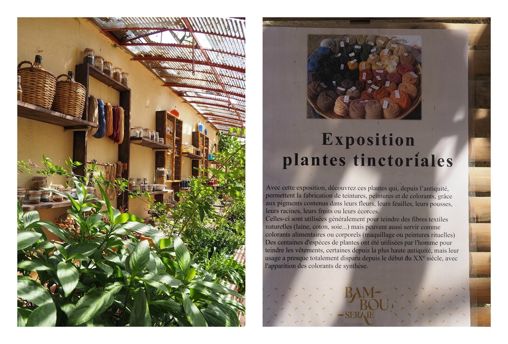La Bambouseraie à Anduze, serre, exposition plantes tinctoriales