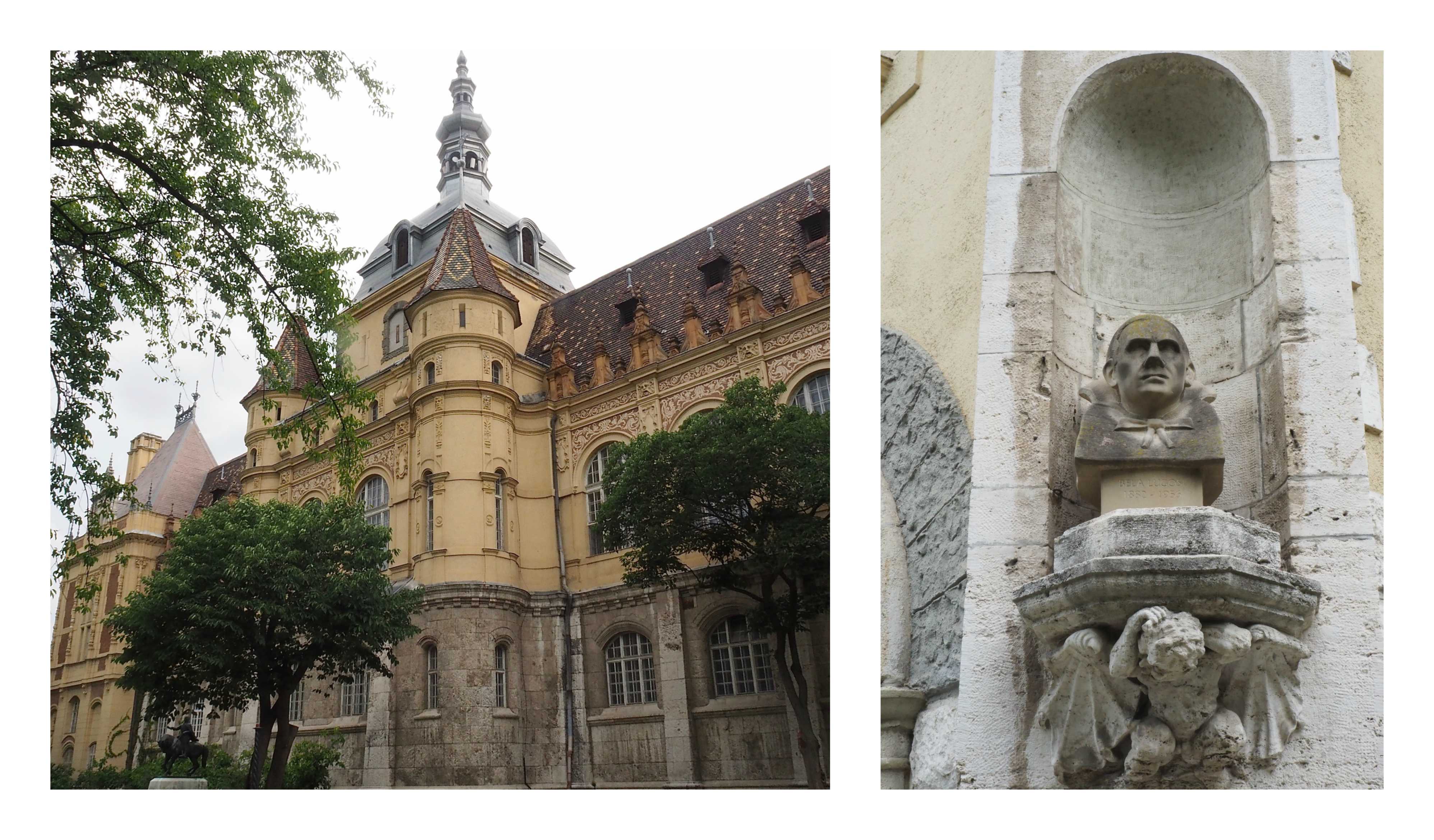 Visite de Budapest en famille, itinéraire sur 5 jours - Balade dans le quartier du Bois de la ville - Château Vajdahunyad