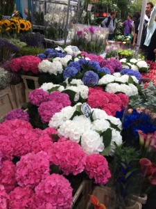 marché aux fleurs à Colombia Road - Londres