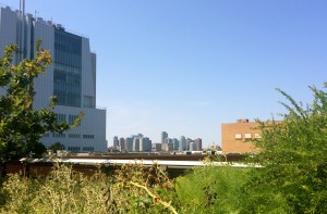 La High Line à New York