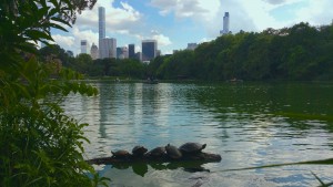Central Park à New York