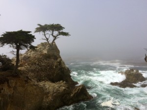 17 mile Drive - Lone cypress point en Californie