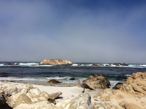 Bird Rock à 17 mile Drive - Monterey - Californie
