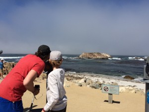 Bird Rock à 17 mile Drive - Monterey - Californie