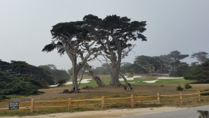 17 mile Drive - Monterey - Californie