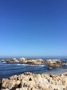 Péninsule de Monterey en Californie