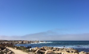 Pebble beach, Monterey, Californie