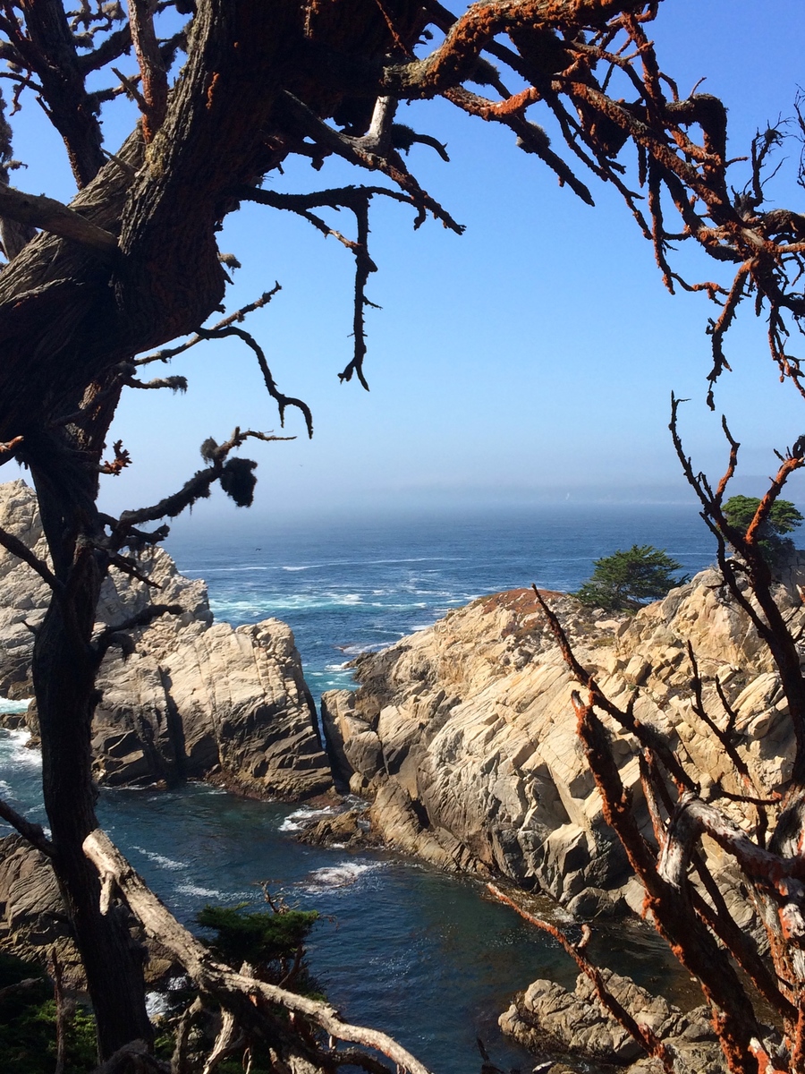 La côte pacifique vue de Point Lobos Natural State Reserve sur la route 1 en Californie.