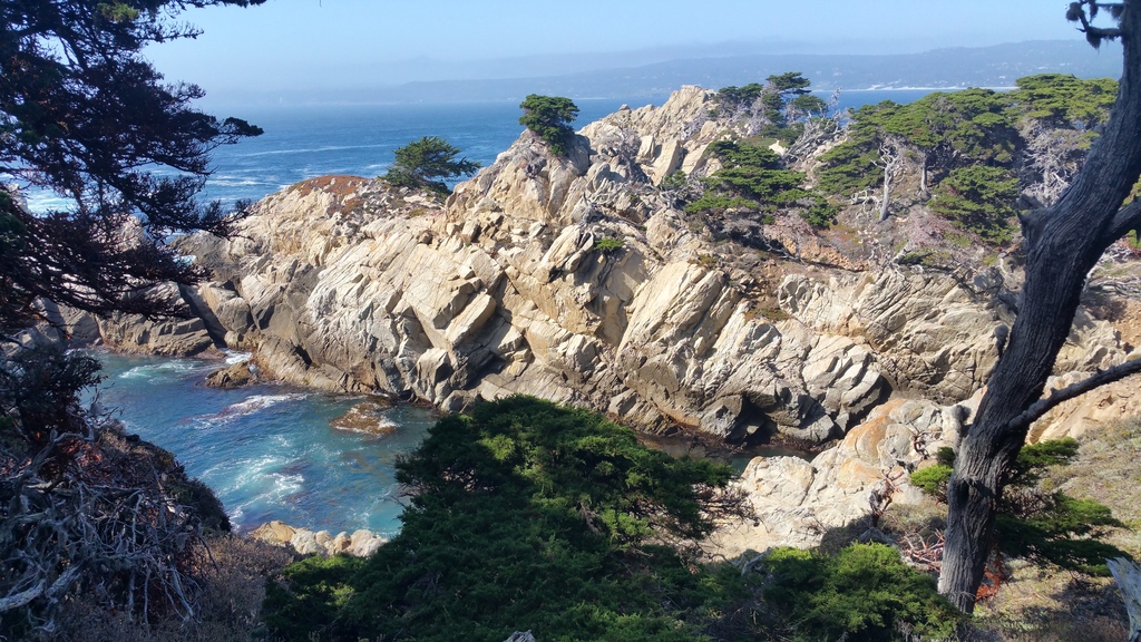 Point Lobos State Reserve : coup de foudre sur la route 1 en Californie !