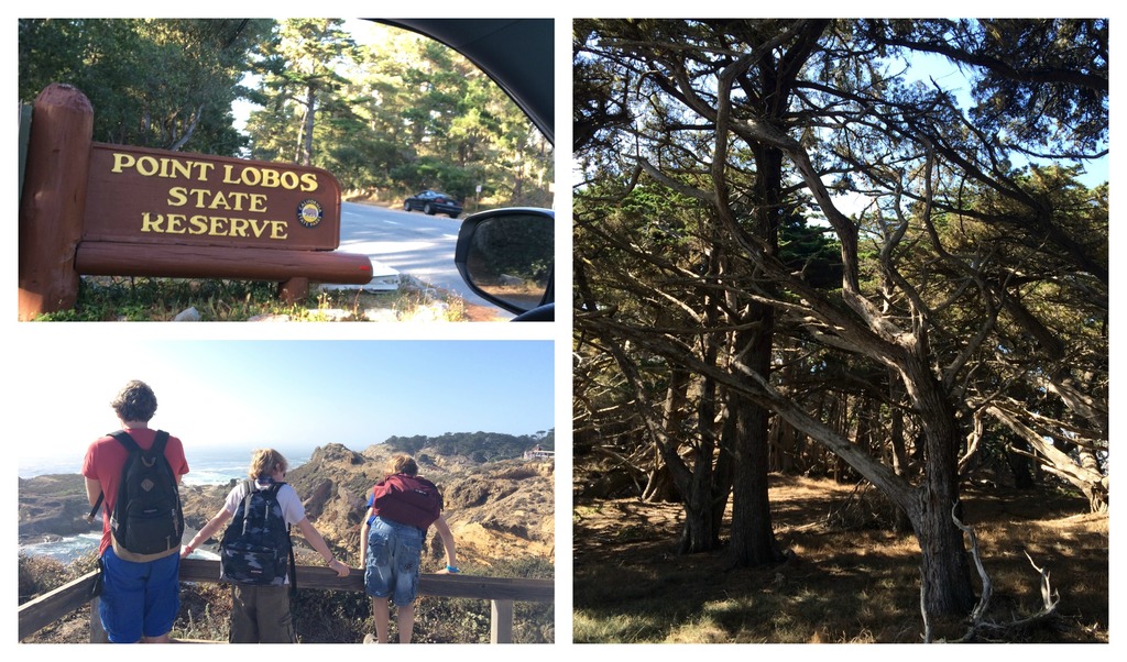 Visite de Point Lobos Natural State Reserve sur la route 1 en Californie.