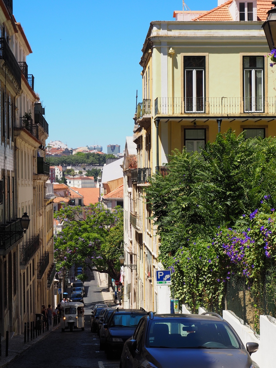 Les ruelles colorées dans l'Alfama à Lisbonne