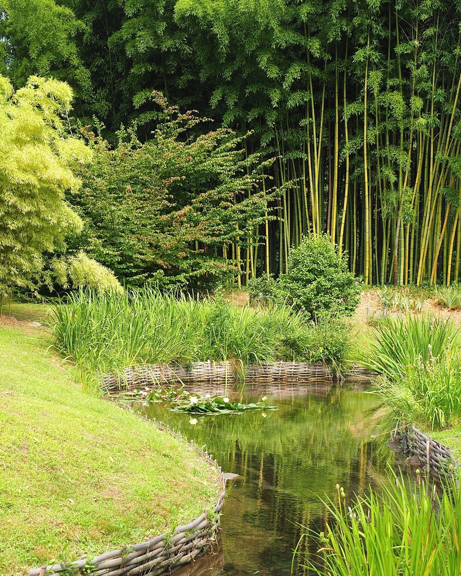 La Bambouseraie en Cévennes, jardin japonais