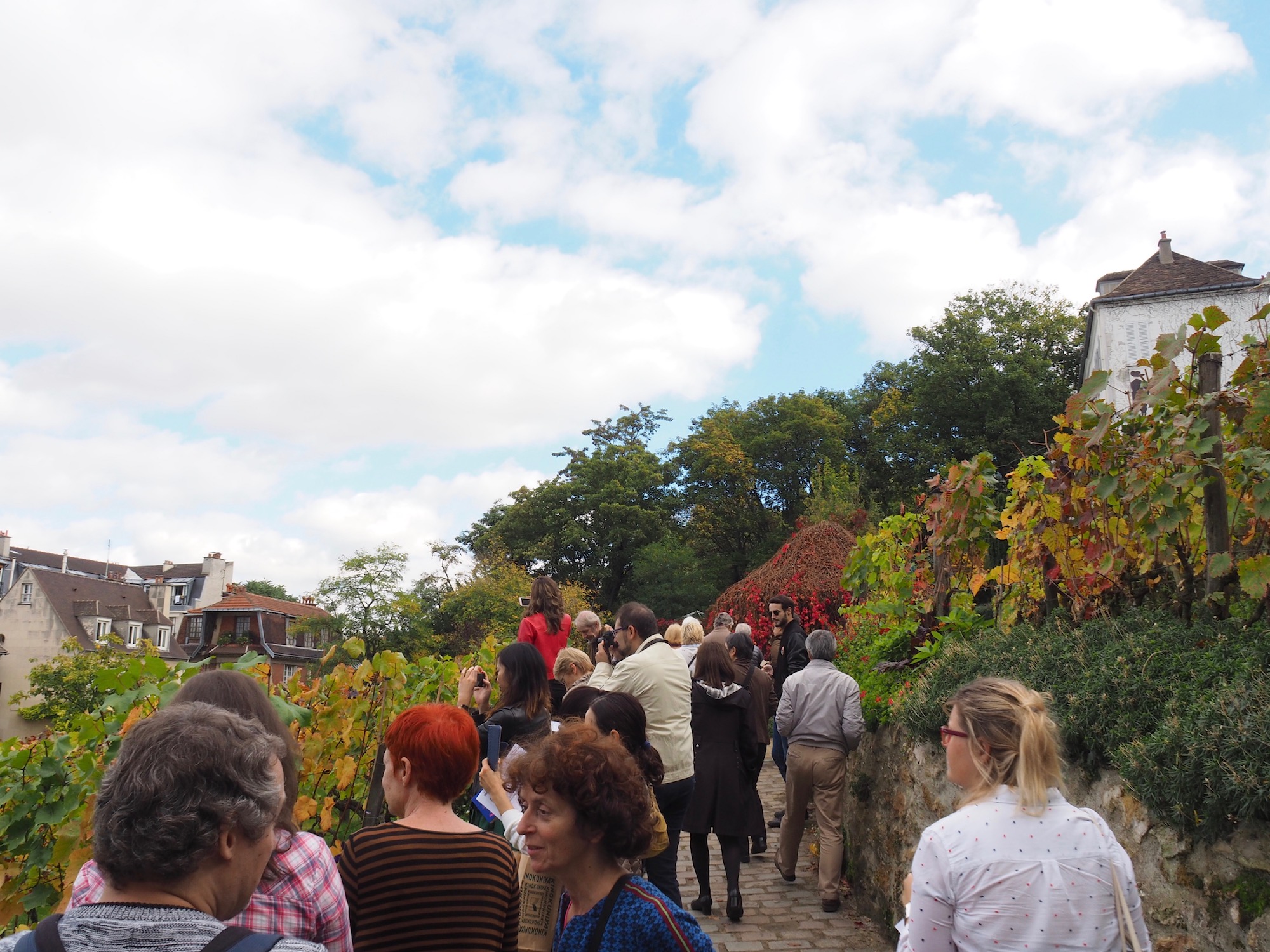 La vigne de Montmartre, visite d'un lieu rare et insolite