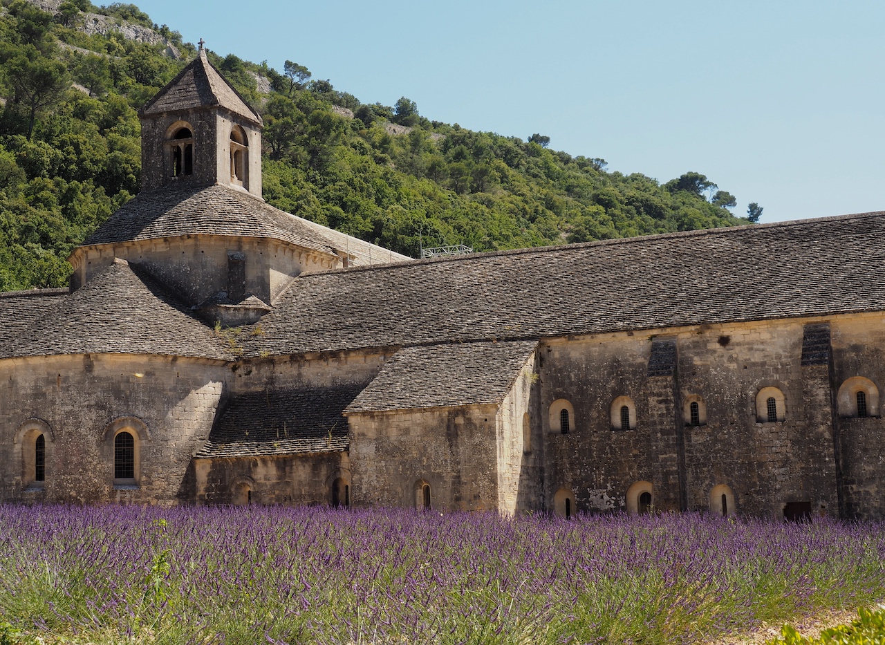 découvrir l'Abbaye Notre Dame de Sénanque et ses champs de lavande