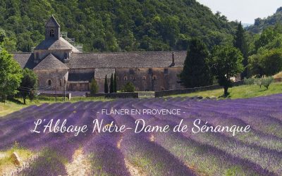Découvrir L’Abbaye Notre-Dame de Sénanque et ses champs de lavande