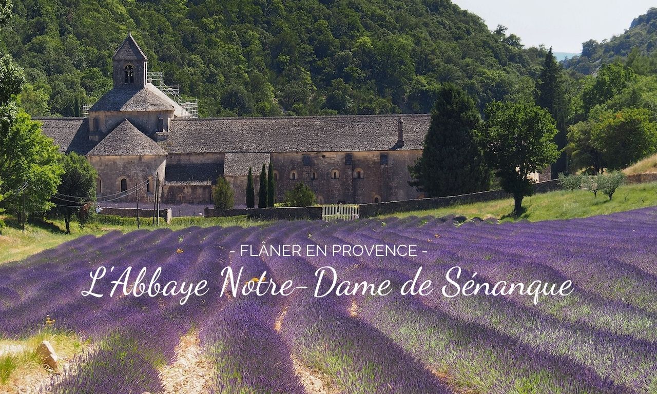 découvrir l'Abbaye Notre Dame de Sénanque et ses champs de lavande
